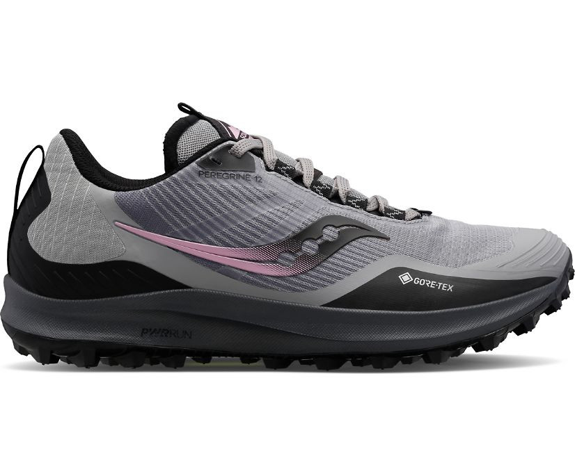 Women's Peregrine 12 GTX | Saucony (US)
