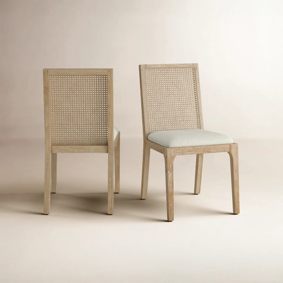Anassi Cane Back Side Chair (Set of 2) | Birch Lane