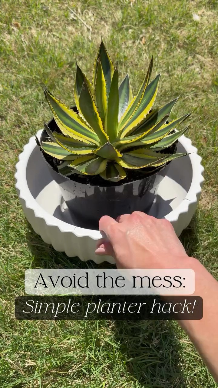 If you’ve ever ended up with a lopsided plant or dirt all over the counter… this is your sign to try this 🌿

Instead of guessing where your plant should sit, place it in the pot while it’s still in the nursery container, fill in the soil around it, pack it down, then lift it out and drop your plant right in.

Perfectly centered, way less mess, and it takes a fraction of the time!! 

Simple little hack that makes a big difference 🤍

#homehacks #planttips #patiodecor planter hack, spring porch decor, patio decor, planter design

#LTKSeasonal #LTKHome