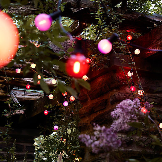 Stargazer Garden Lights Color Story Bulbs, Set of 21 Bulbs Only | Terrain