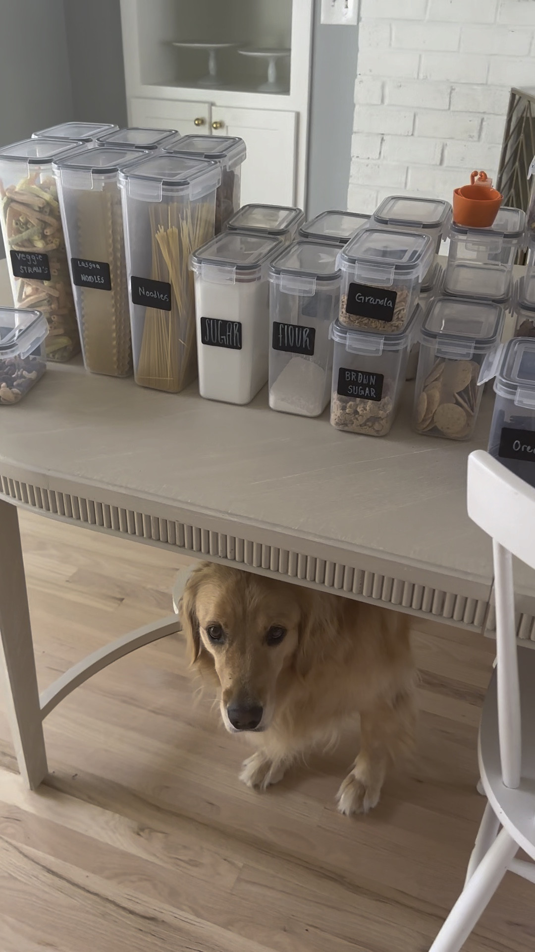 Our favorite pantry organizers on Prime 

#LTKfindsunder50 #LTKsalealert #LTKVideo