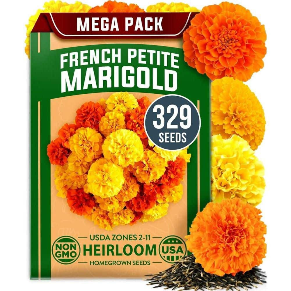 Marigold Seeds 329+ Flower Seeds for Planting Outdoors Wildflower Non-Organic Seed Tagetes Patula | The Home Depot