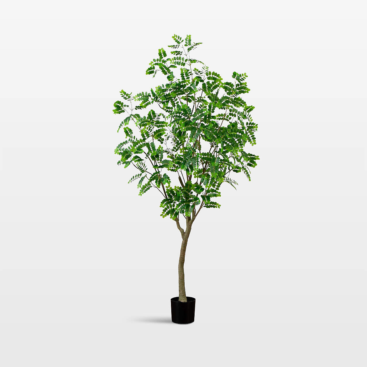 Faux Greco Citrus Tree 7' | Crate & Barrel | Crate & Barrel