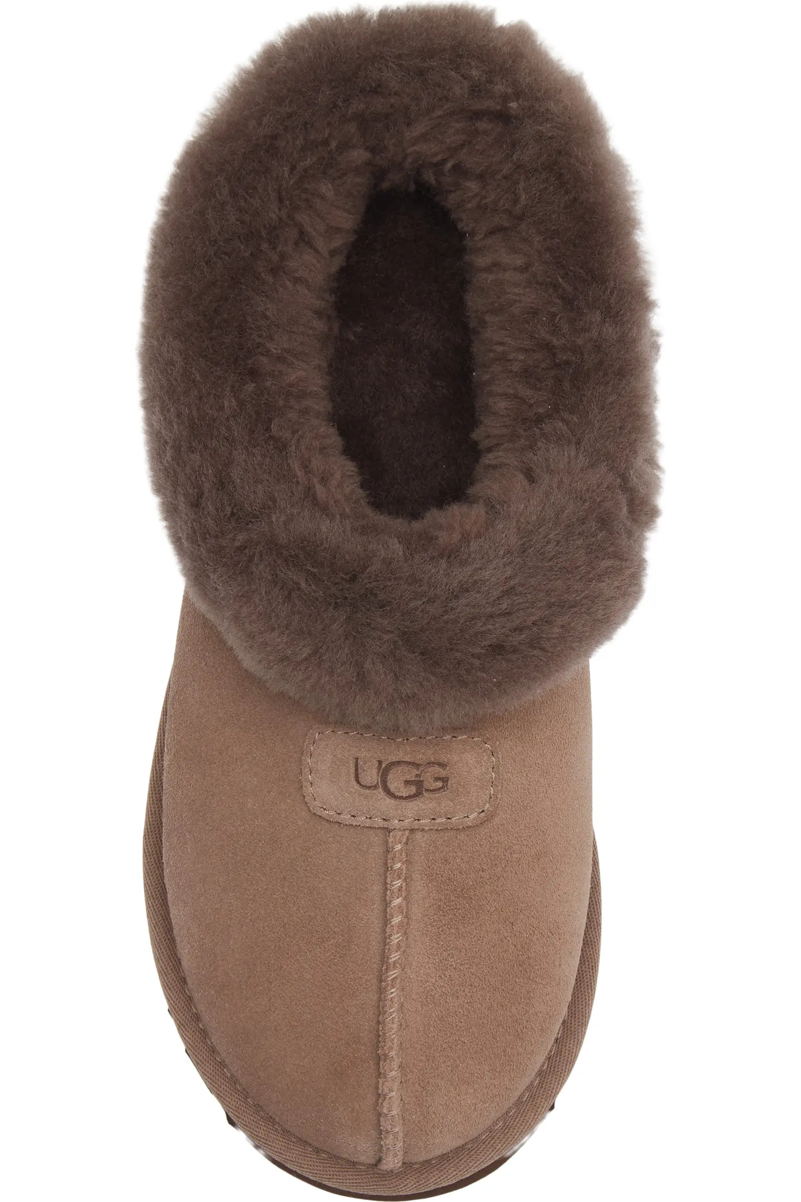 Tazzette Genuine Shearling Collar Slipper (Women) | Nordstrom | Nordstrom