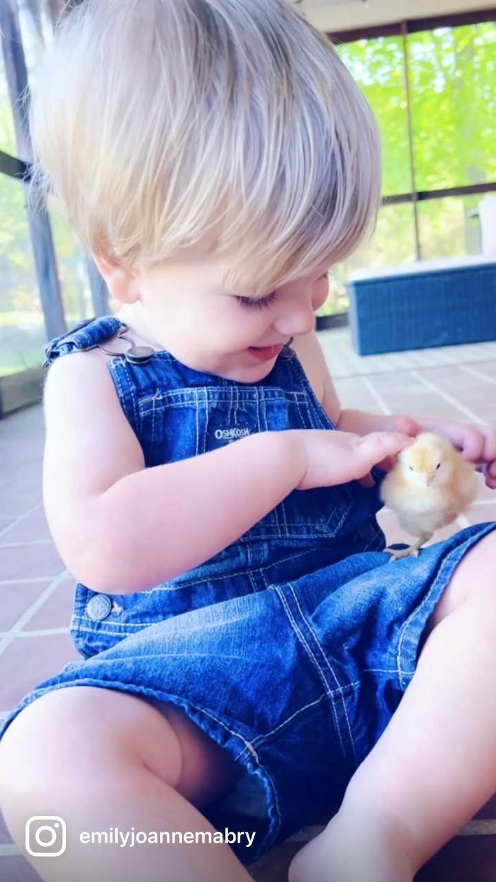 Judson 👼🏼 and his chickadees 🐥🐣🐥🐣🐥🐣🐥🐣 #cutenessoverload #raisingchickens #judsonandhischickadees #babychicks #chickchicks #corememory #countrylife #wegotchickensyall #babychicks

…

#emilysayswes #judsoncarpentermabry #twentytwomonthsold #twentytwomonthold #twentytwomontholdbaby #twentytwomontholdbabyboy #judsonmonthbymonth #sweetjudson #oneyearoldbabyboy #oneyearoldboy #gratefulmotherhood #motherhoodblogger #mommyblogger #aprilmemories #thesearethedays #oldfamilyfarmhouse #homesweethome #newseasonnewadventures #liketkit #LTKfamily #LTKbaby #LTKSpring @shop.ltk 