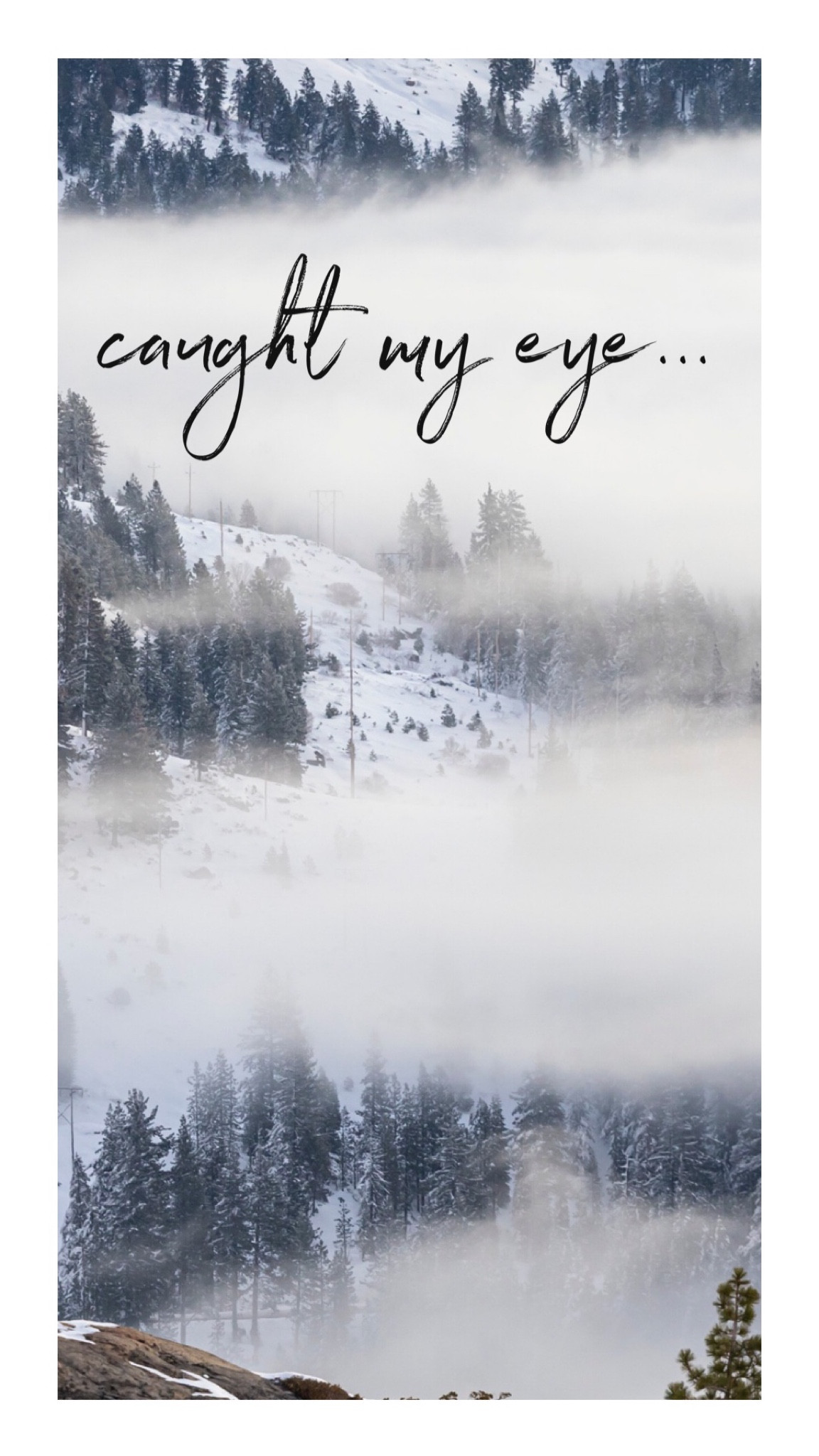 #LTKGiftGuide #LTKstyletip #LTKsalealert