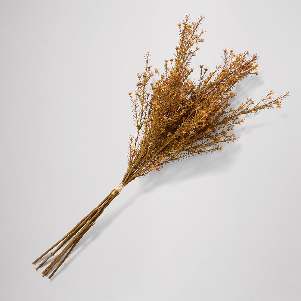 Faux Dried Bundle | West Elm (US)