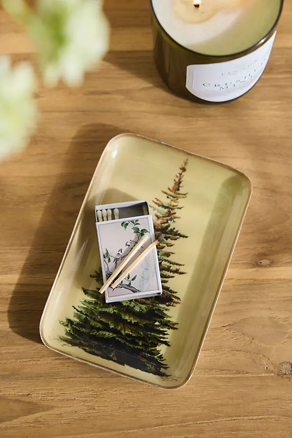 Printed Archival Tray, Extra Small | Terrain