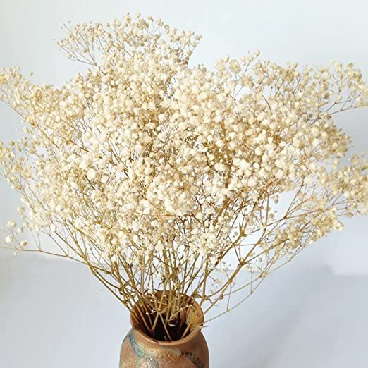 Dried-Babys-Breath-Flowers-Bouquet-17 inch 2000+ Ivory White Flowers, Natural Gypsophila Branches... | Amazon (US)