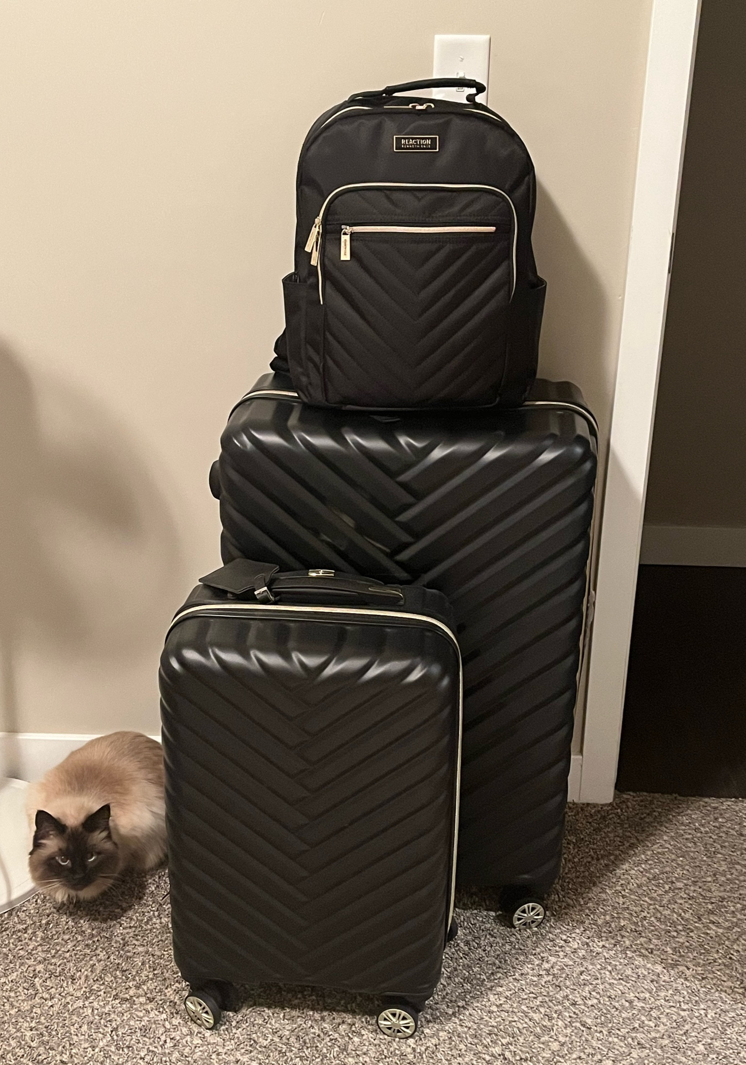 Kenneth Cole 
Luggage Sets
Pet Transport

#LTKtravel #LTKaustralia #LTKeurope