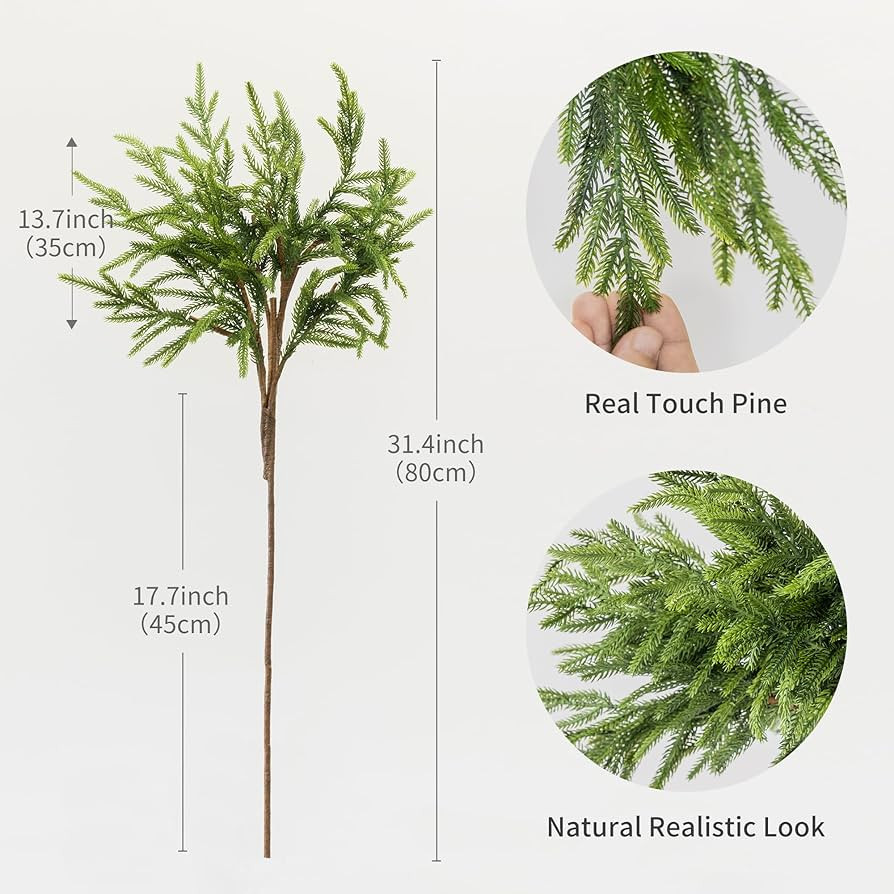 Green-2 | Amazon (US)