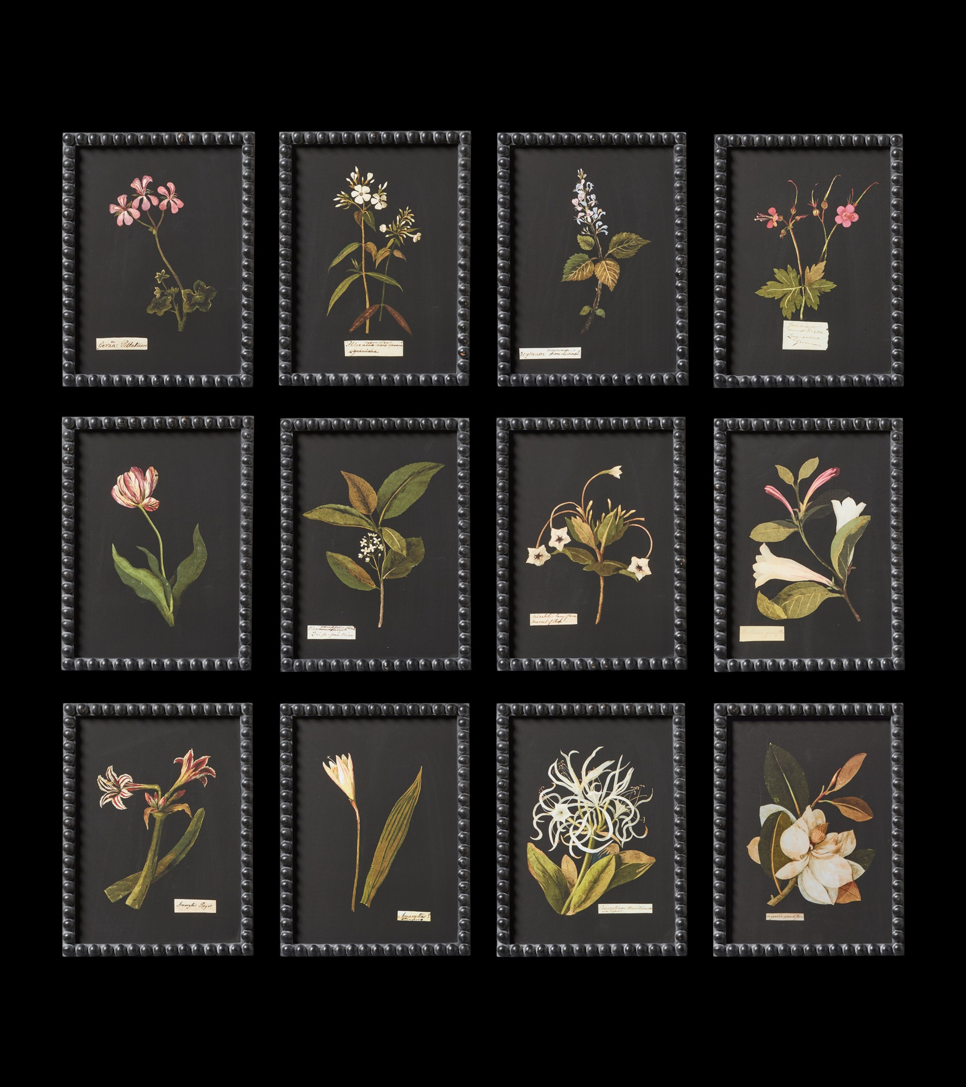 Set of Twelve Framed Flower Botanical Prints | OKA US