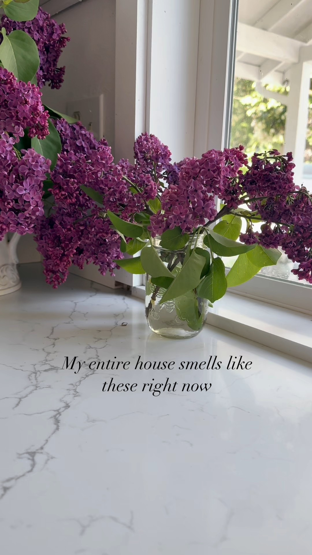 Lilac season is so glorious! I just with it was longer! But those farm fresh rainbow eggs tho 😍 
I put together a list of super cute fresh egg storage options for you to show off your beauties! 

#LTKHome #LTKPets #LTKSeasonal