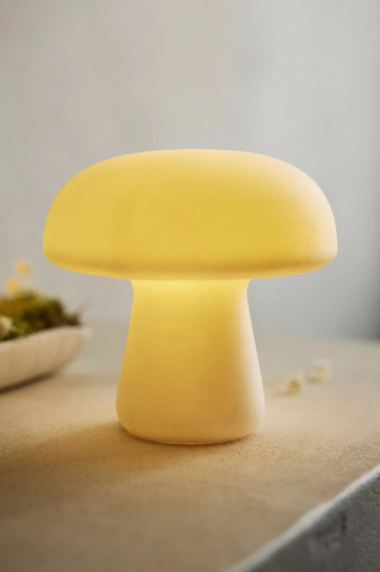 Mushroom LED Light | Terrain