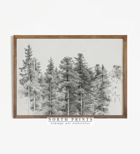 Antique Pine Tree Forest Sketch | Neutral Winter Sketch Art | PRINTABLE Digital Download | 278 | Etsy (US)