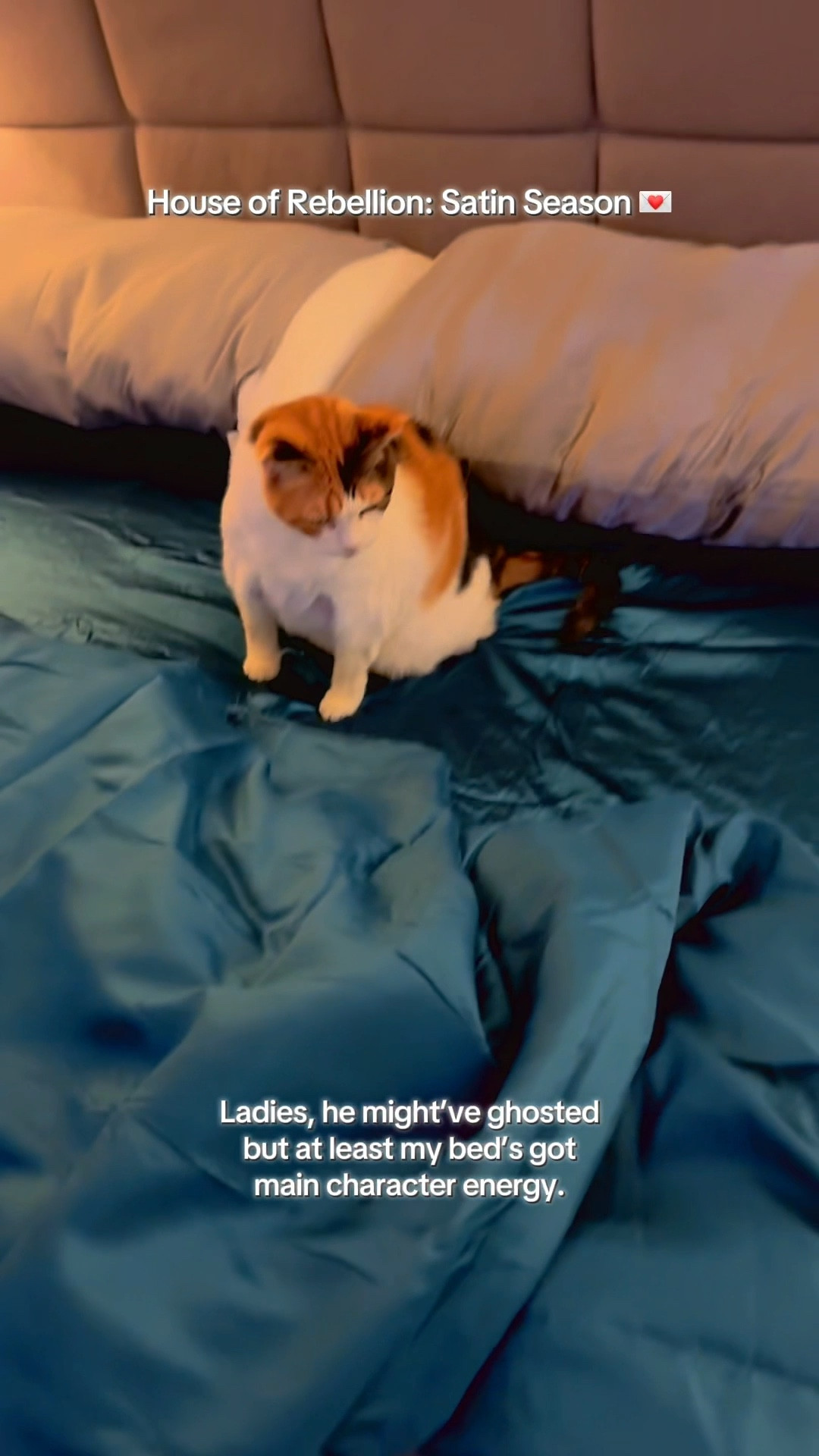 It’s Satin Season! I’m rebelling against bare-thread-count behavior this Valentine’s Day with satin bedsheets. Ladies, he might’ve ghosted but at least my bed’s got main character energy. Join the self-love rebellion! A man? Optional. Satin? Non-negotiable. 💋

#LTKFindsUnder100 #LTKselfcare #LTKHome