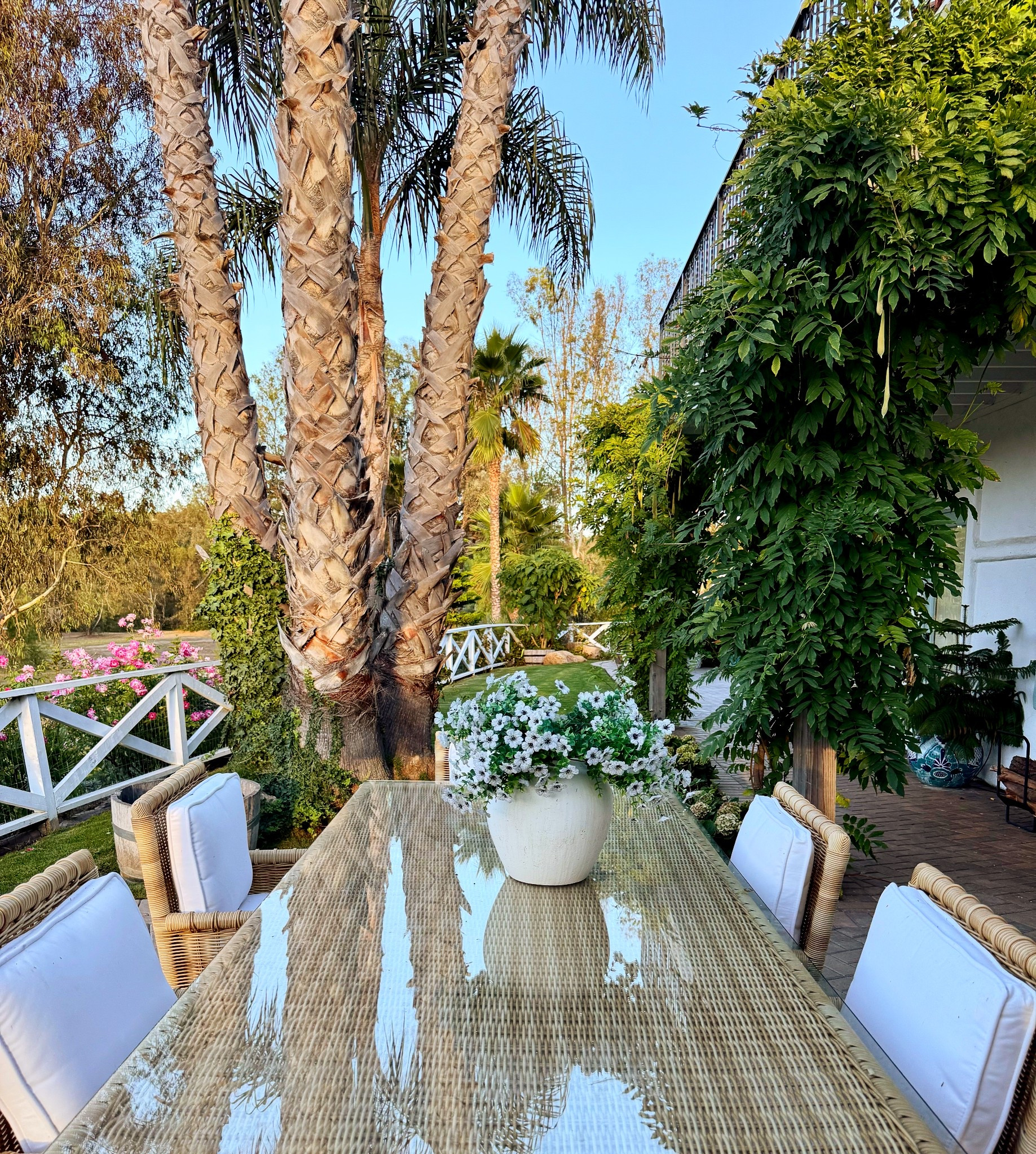 Beautiful outdoor dining set! 

Enjoy dining al fresco in these comfy and made to last outdoor dining chairs. 🩵

This patio set has held up for years and still looks new. I’ve also linked  cute outdoor rugs, patio umbrellas, outdoor lanterns, outdoor tables, and fire tables! 🔥

#marneystidbits #outdoorfurniture #outdoordiningset #serenaandlilly
#patiochairs

#LTKSaleAlert #LTKHome #LTKgrwm