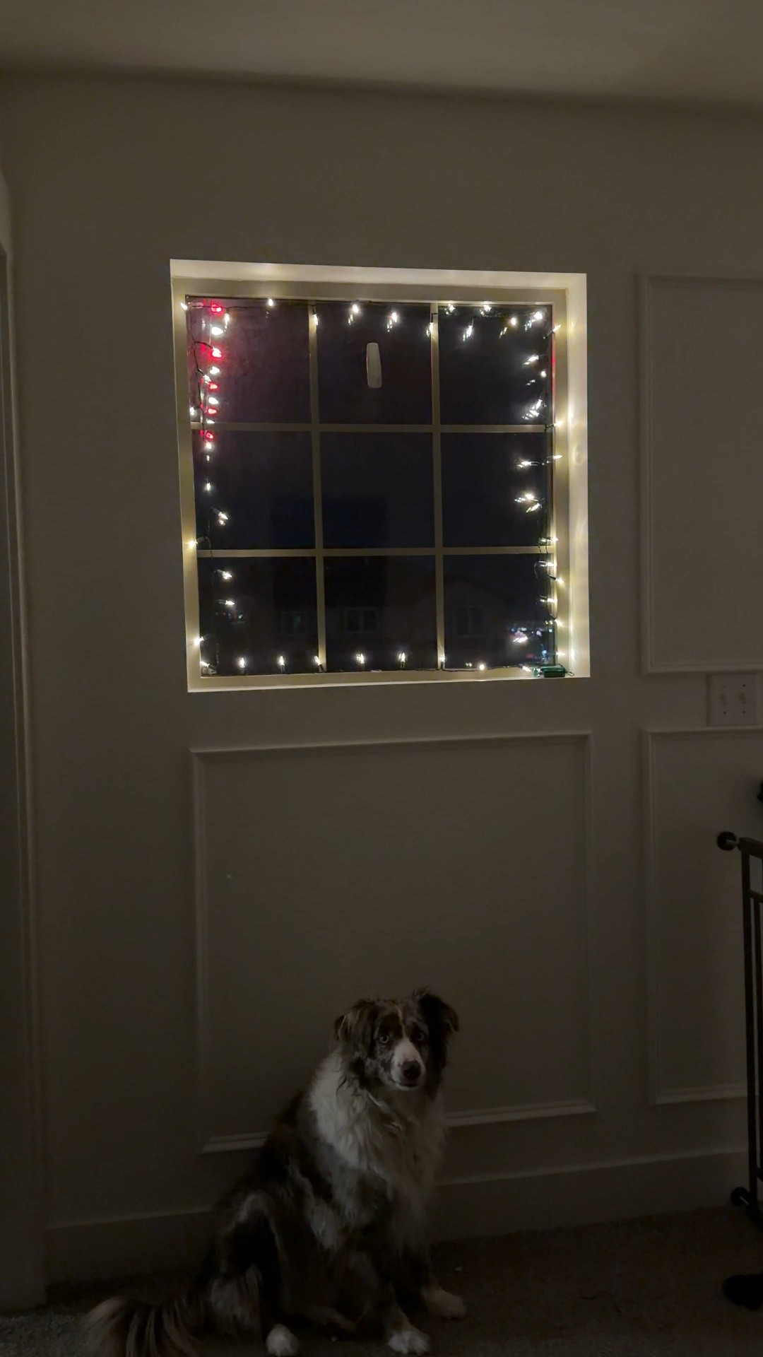 I’m so behind in decor this year but these lights are a fun addition! Battery powered, colored or warm white, and there’s a timer too 🥳

#LTKHome #LTKFindsUnder50 #LTKHoliday