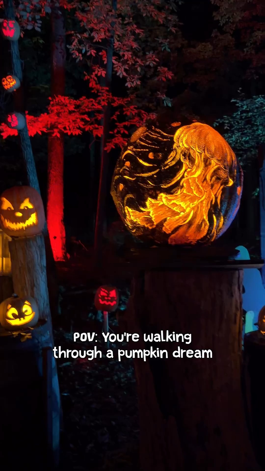 The Jack O’ Lantern Spectacular in Louisville is pure Halloween magic - over 5,000 hand-carved pumpkins lighting up the forest trail 🕯️🎃

#JackOLanternSpectacular #FamilyFallFun #LouisvilleKY #LouisvilleCreator #FamilyFun