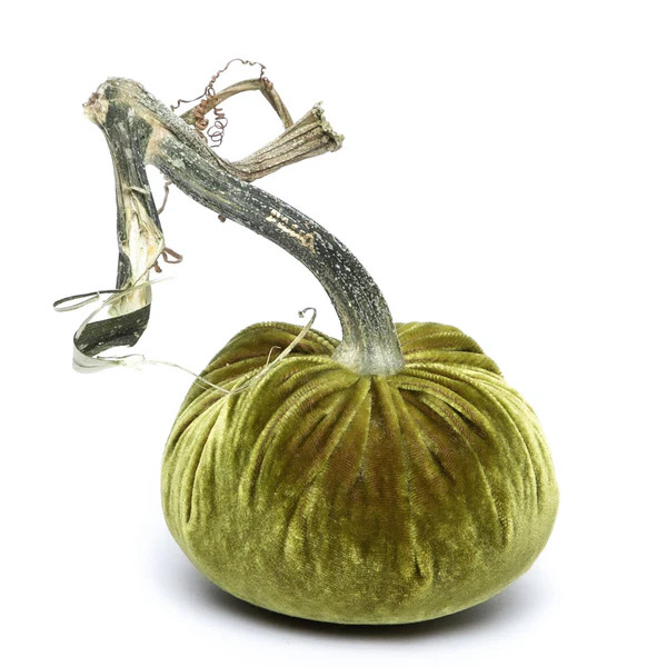 Cactus Silk Velvet Pumpkin | Hot Skwash