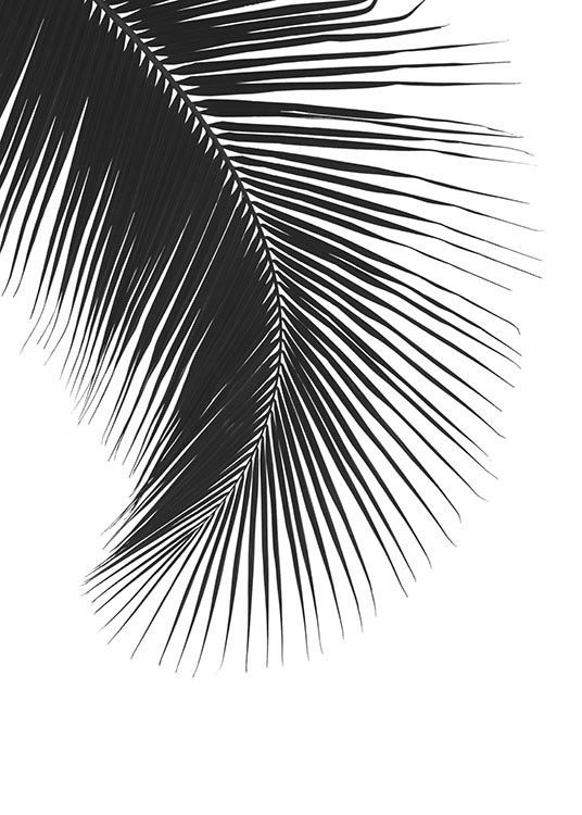 Black Palm Leaf, Print | Desenio