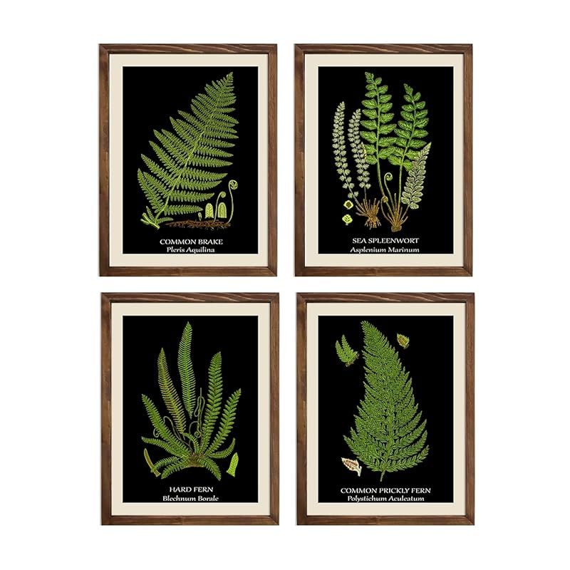 Fern Art Print Set on Black Background Botanical Flower Leaves Plants Scientific Green Leaf Veget... | Amazon (US)