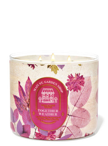 Together Weather


3-Wick Candle | Bath & Body Works