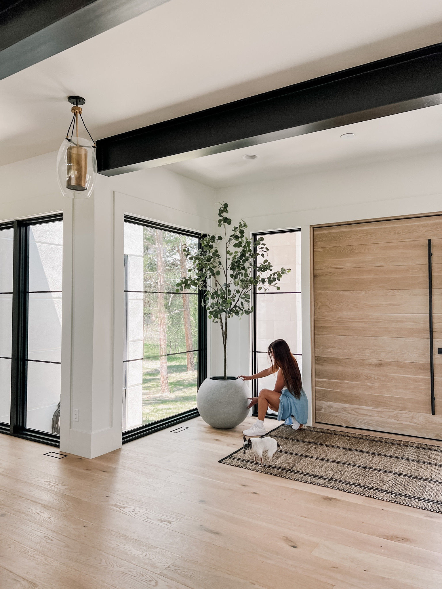 Crate and Barrel Sphere Planter. Size Large. My favorite modern/contemporary planter. Amazing quality and a great price. 

#LTKhome #LTKsalealert #LTKFind