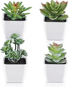 COCOBOO Artificial Succulents in Pots 4pcs Succulents Plants Artificial, Fake Succulents Small Po... | Amazon (US)