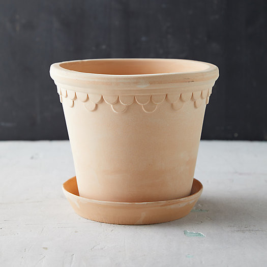 Bergs Palace Pot + Saucer | Terrain