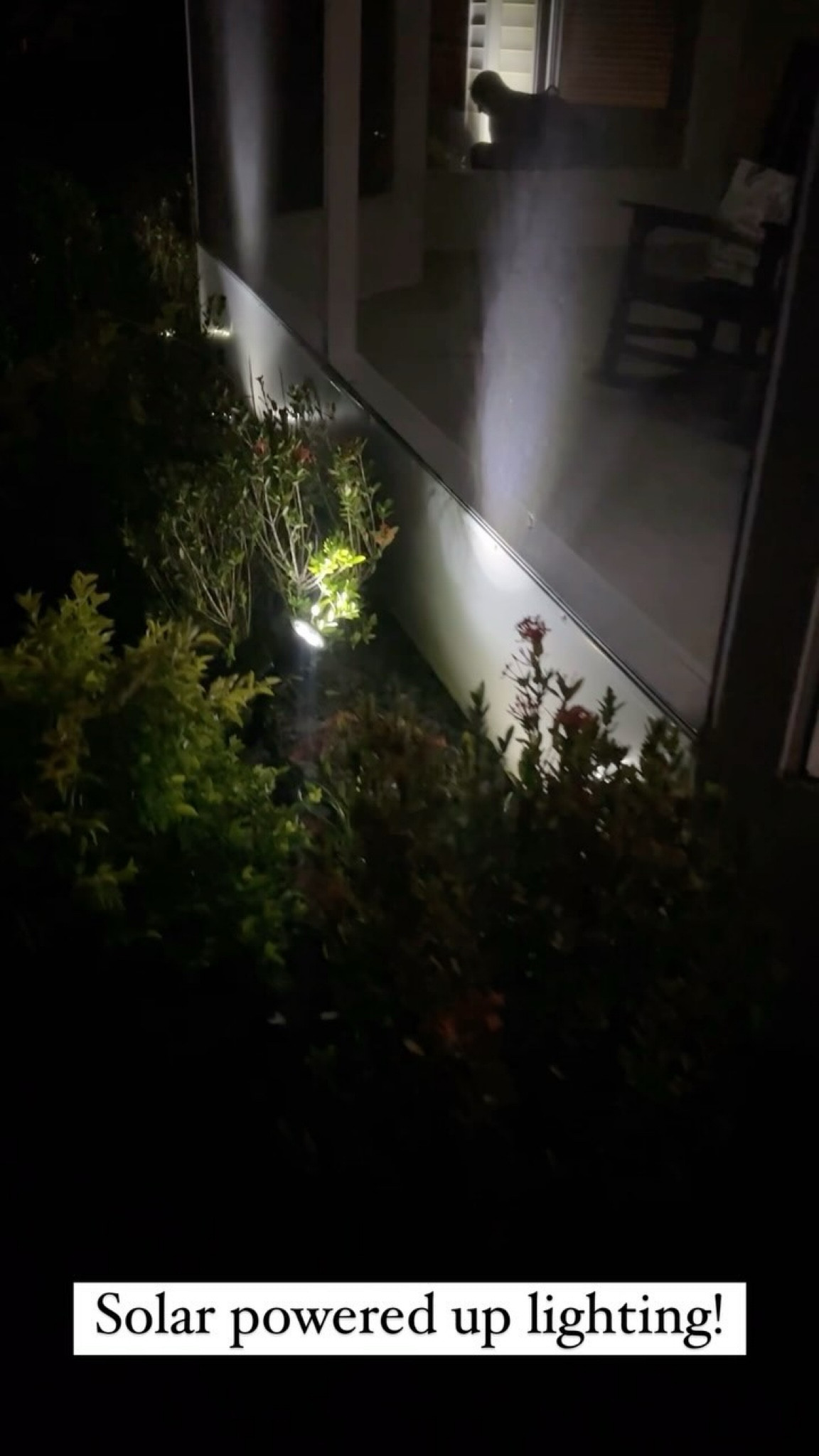 I was so happy to find these #AmazonMustHave I did not want to worry about hardwiring for lights so these came in clutch. They come in white and warm lights. These are absolutely incredible. You’ve got to check them out.