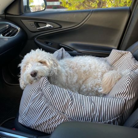 Cutest dog bed for car!!