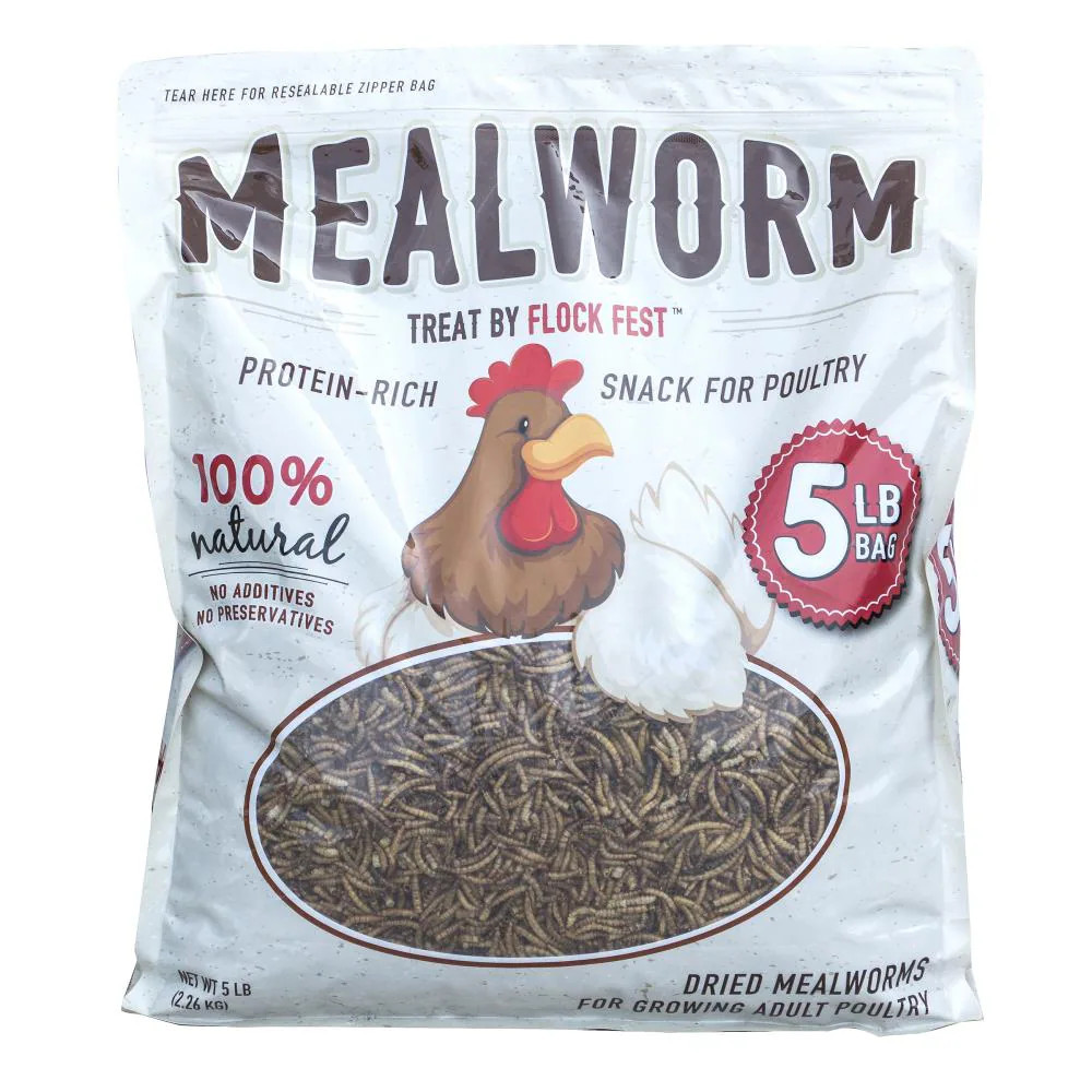 Flock Fest Mealworm Worms Poultry Treat 5 Pound(s) | 551082 | Lowe's