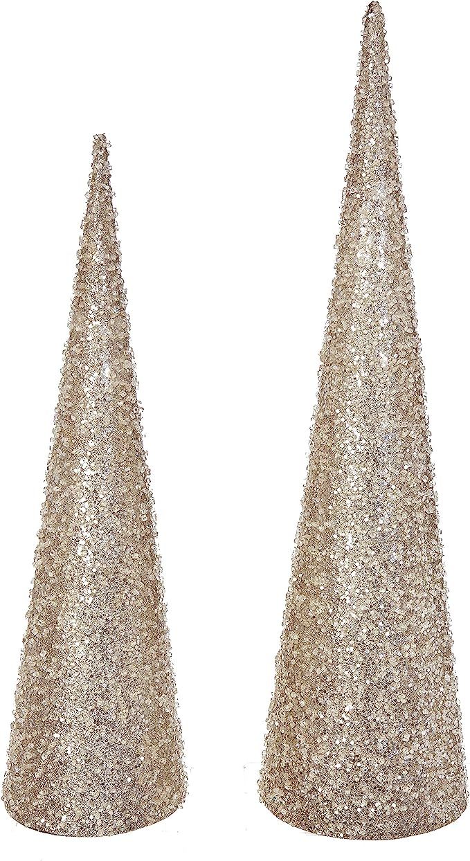 Raz 20 Inch and 24 Inch High Iced and Glittered Champagne Christmas Cone Trees Set of 2 | Amazon (US)