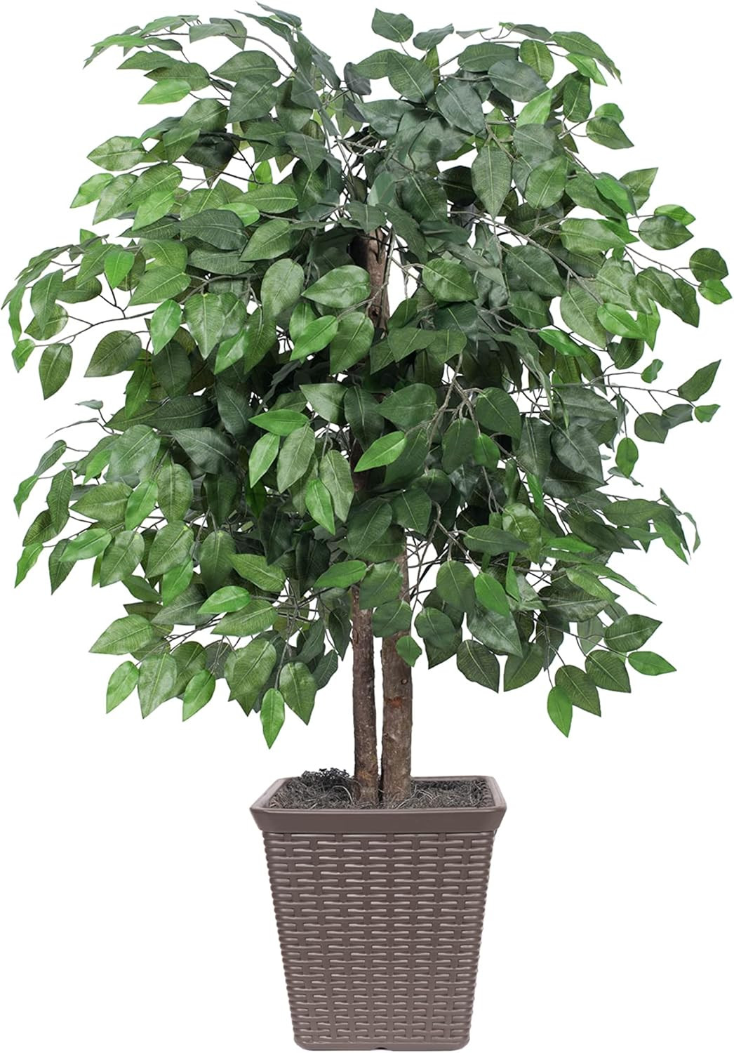 Vickerman Everyday 4' Artificial Ficus Bush in a Brown Square Pot - Lifelike Home Or Office Decor... | Amazon (US)