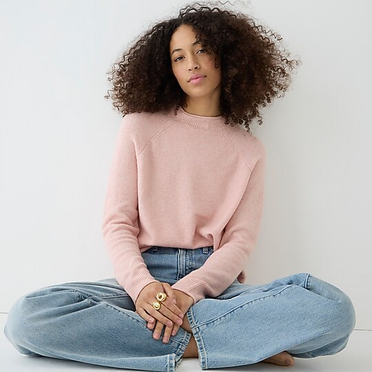 Rollneck sweater in Supersoft yarn | J. Crew US