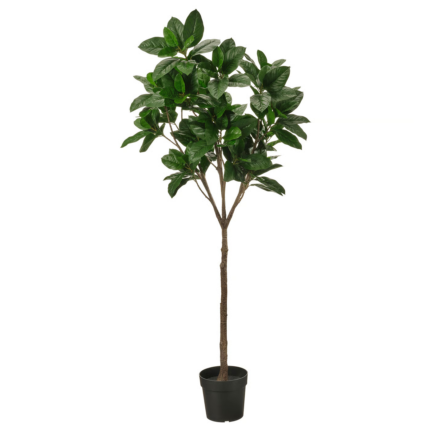 FEJKA Topfpflanze, künstlich, drinnen/draußen Magnolie, 23 cm - IKEA Deutschland | IKEA (DE)