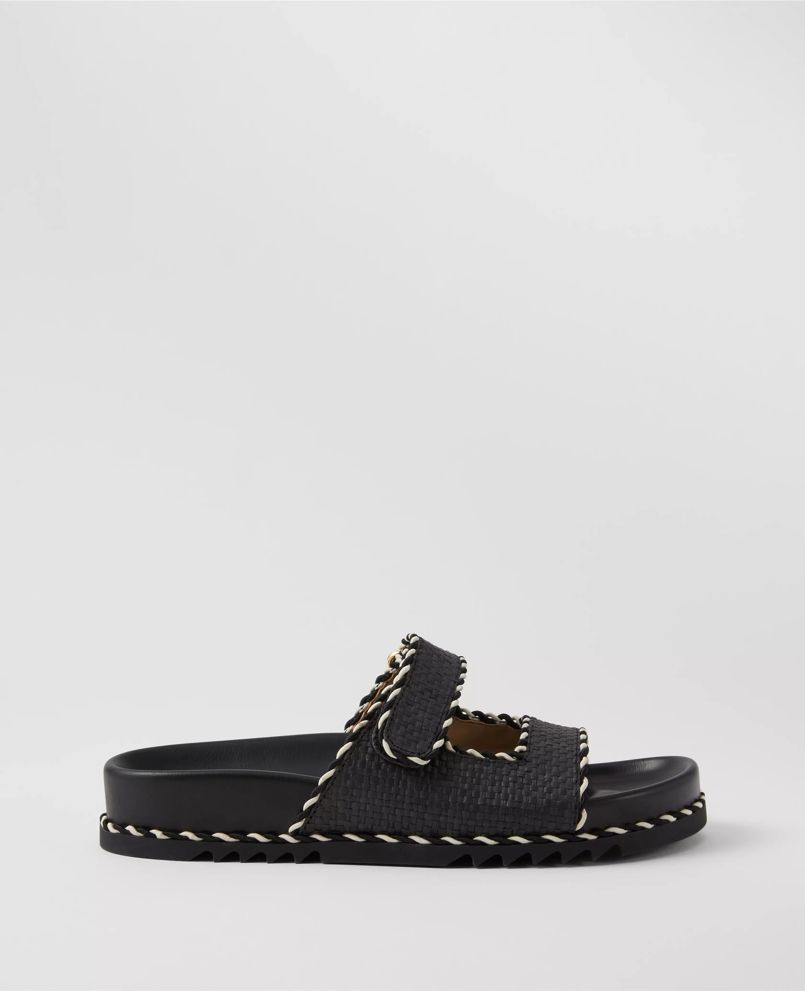 Ann Taylor | Ann Taylor