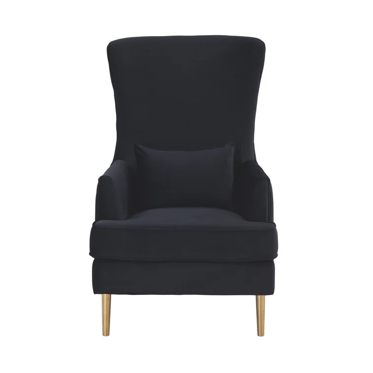 31.5'' Wide Velvet Wingback Chair | Wayfair North America