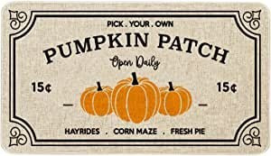 Doormat, Door Mat,  Front Door Mat | Amazon (US)