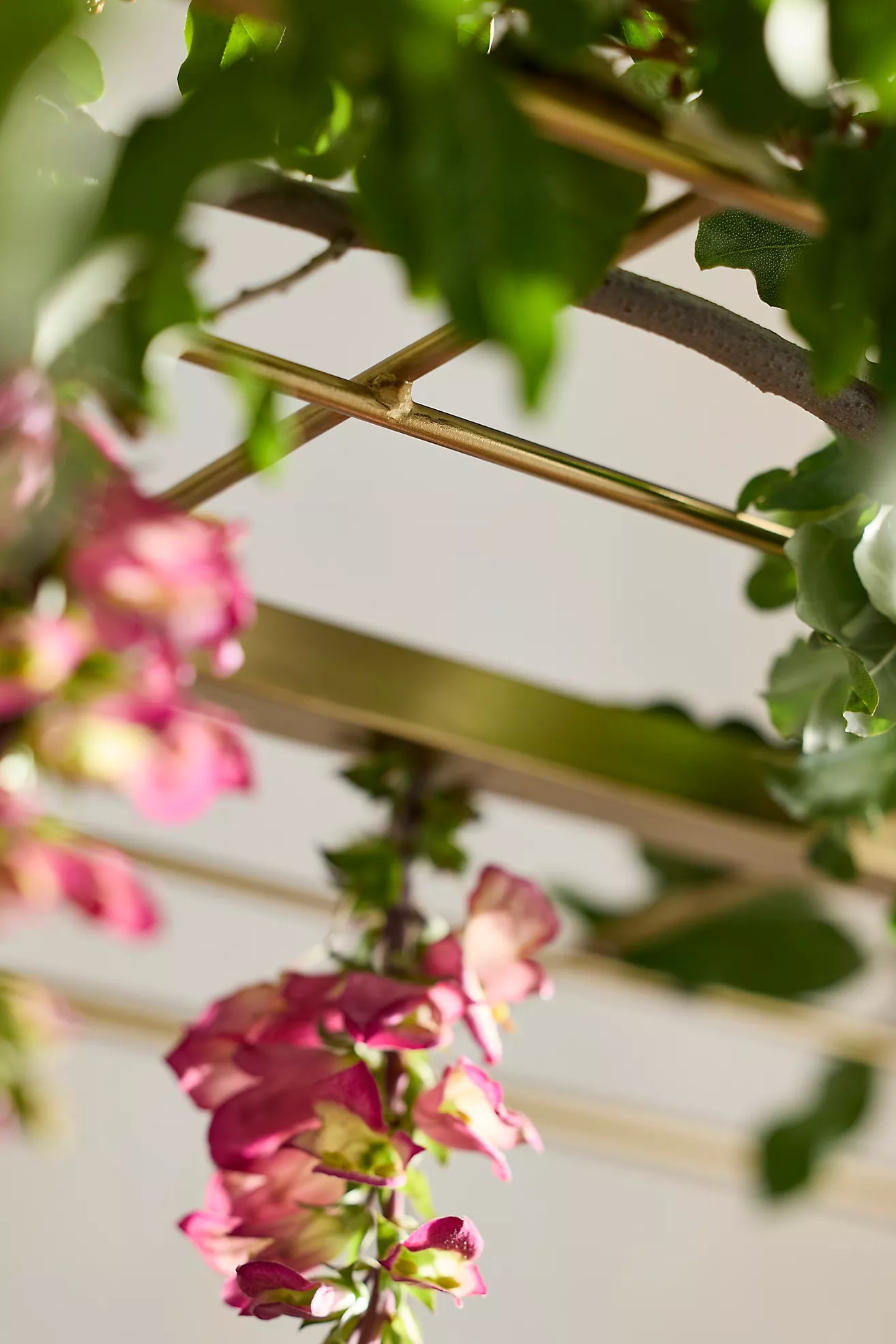 Over-the-Table Trellis | Terrain
