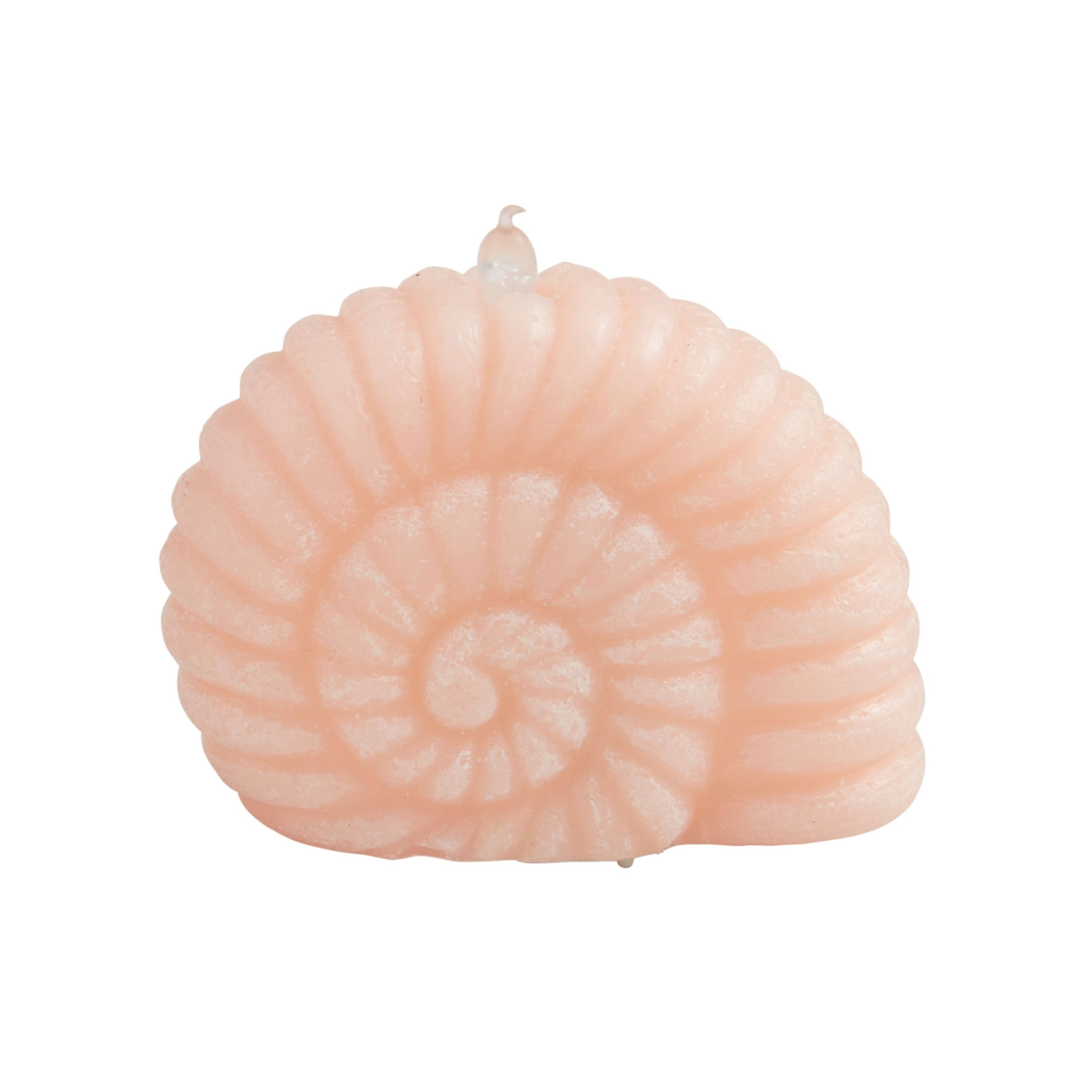 Spiral Shell Flameless Candle | Mud Pie