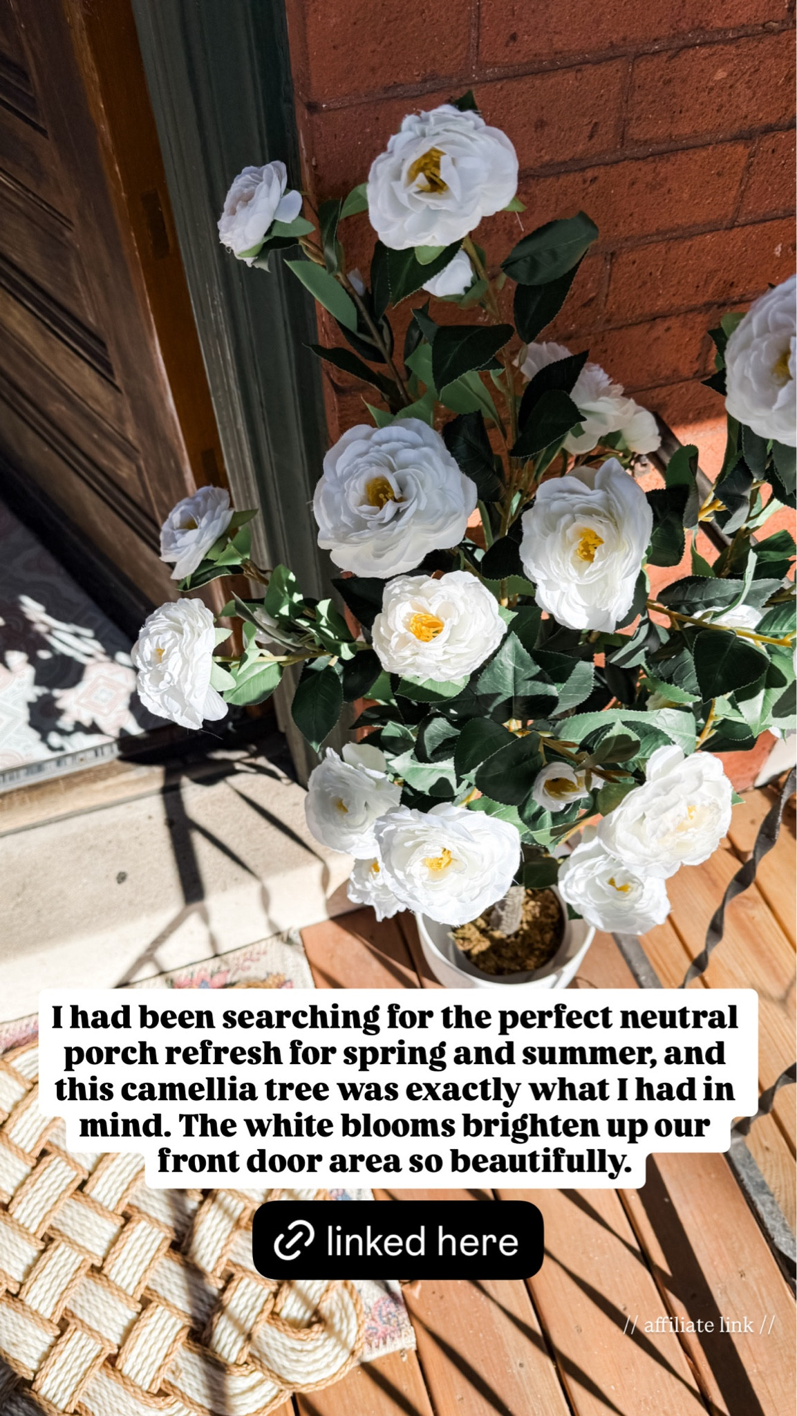 I had been searching for the perfect neutral porch refresh for spring and summer, and this camellia tree was exactly what I had in mind. The white blooms brighten up our front door area so beautifully.

#LTKdayinmylife #LTKHome #LTKSeasonal