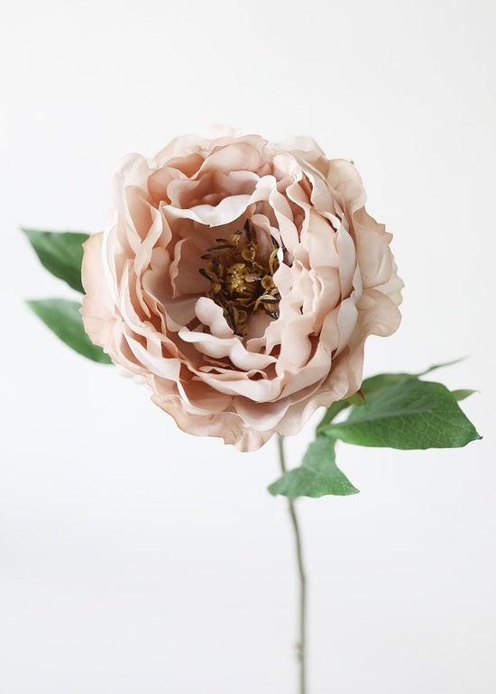 Silk Peony in Taupe Mauve - 18 | Afloral
