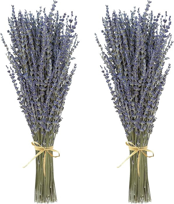 Dried Lavender 2 Bunches 100% Fresh Natural Purple Bouquet Flowers for Bathroom Photo Props Craft... | Amazon (US)