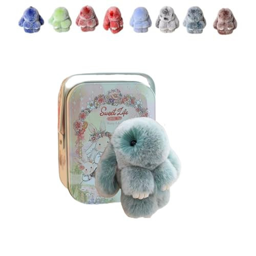 Bunnylulu Keychain, Bunny Lulu Keychain, Bunny Lulu Keychain With Box, Bunny Lulu Keychain With Tin, Bunny Keychain Plush (F) | Amazon (US)