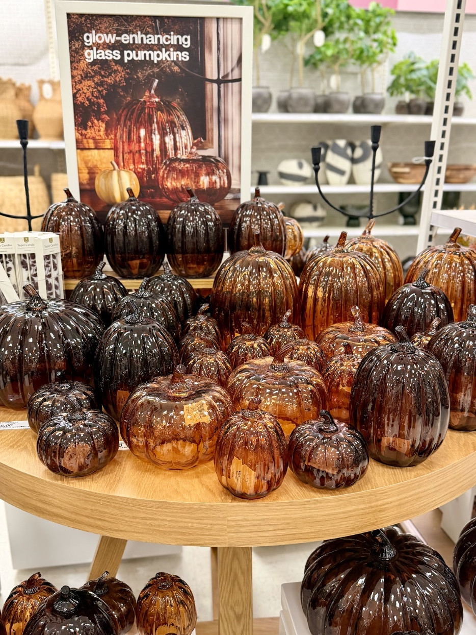 Target has the cutest fall finds for the home right now! These look beautiful!! 

 #LTKSeasonal #LTKHome