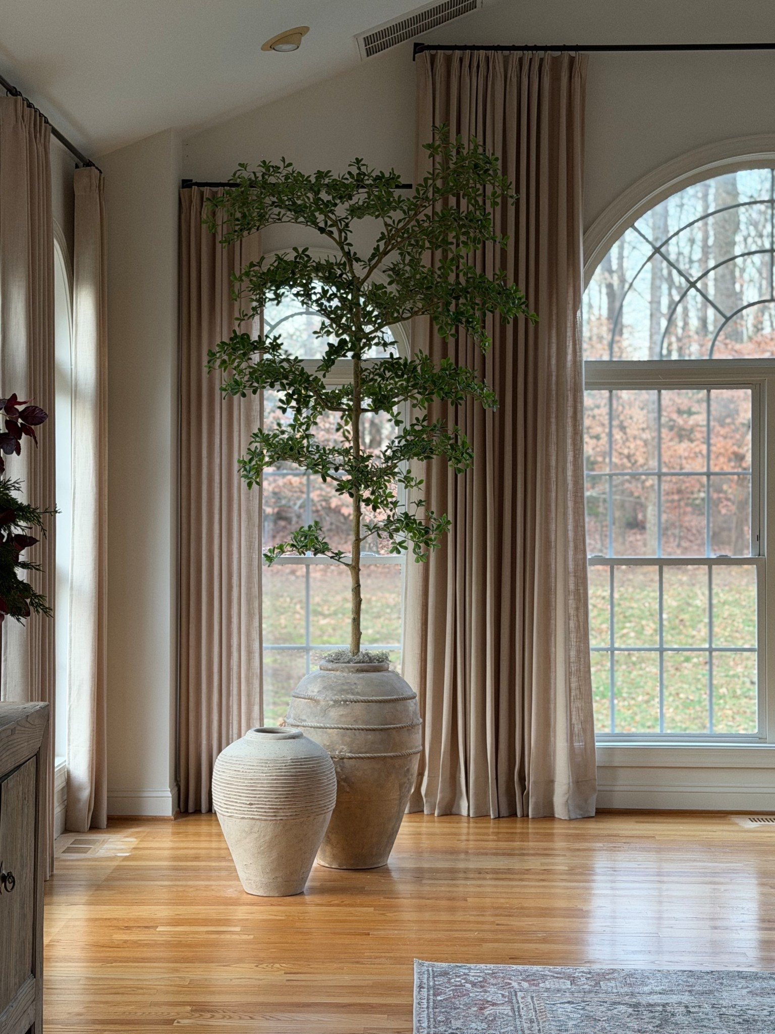 40% off the most realistic olive tree ever!!
New sizes and price option available!



#LTKSaleAlert #LTKHome