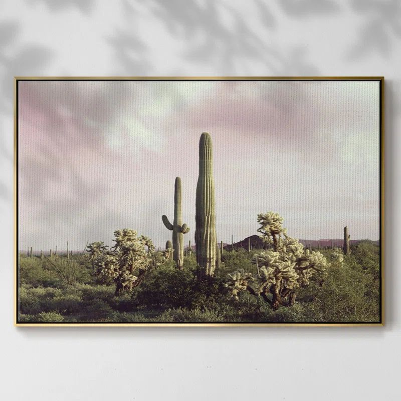 Organ Pipe Cactus National Monument Framed On Canvas Painting | Wayfair North America