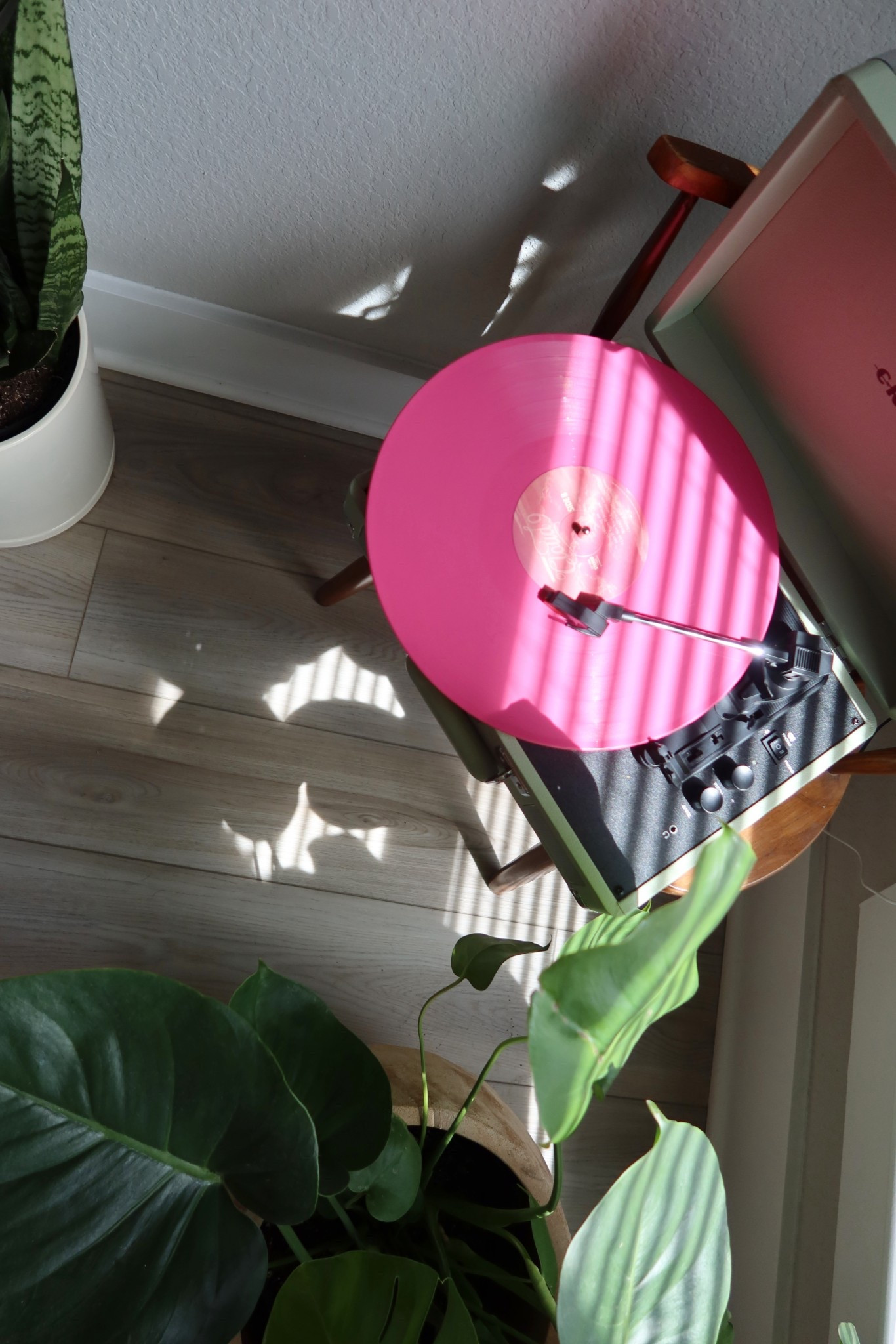 my cutie little record player that i use daily! under $60!

#LTKSaleAlert #LTKHome #LTKgrwm